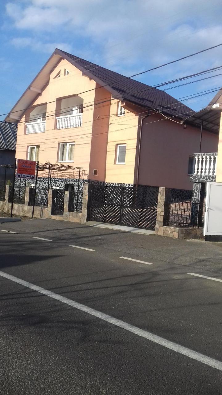 Pensiunea Anca Rona de Jos 외부 사진